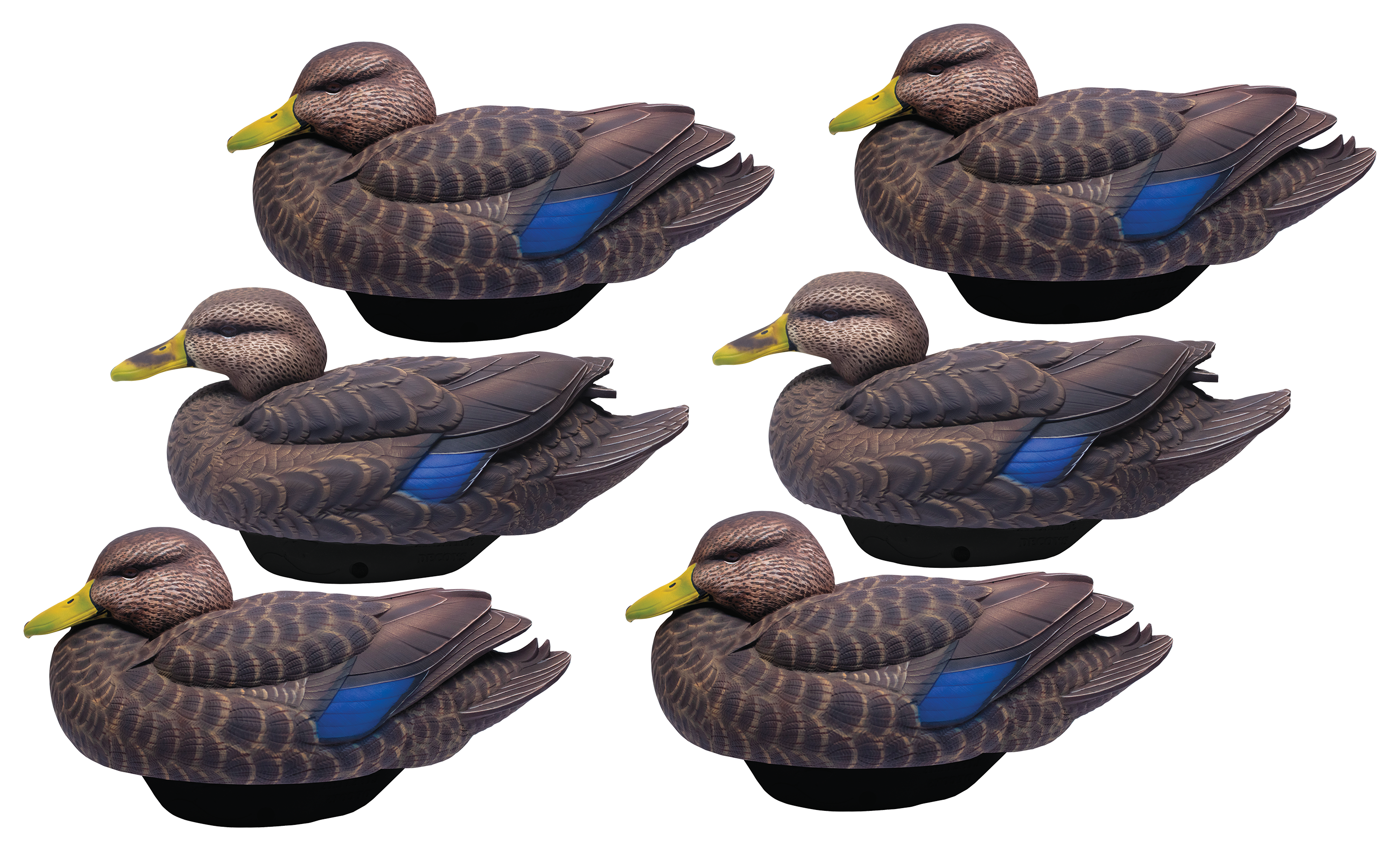 Lifetime Decoys FlexFloat Black Duck Decoys Bass Pro Shops